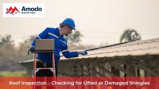 Inspecting Roof for Lifted Shingles